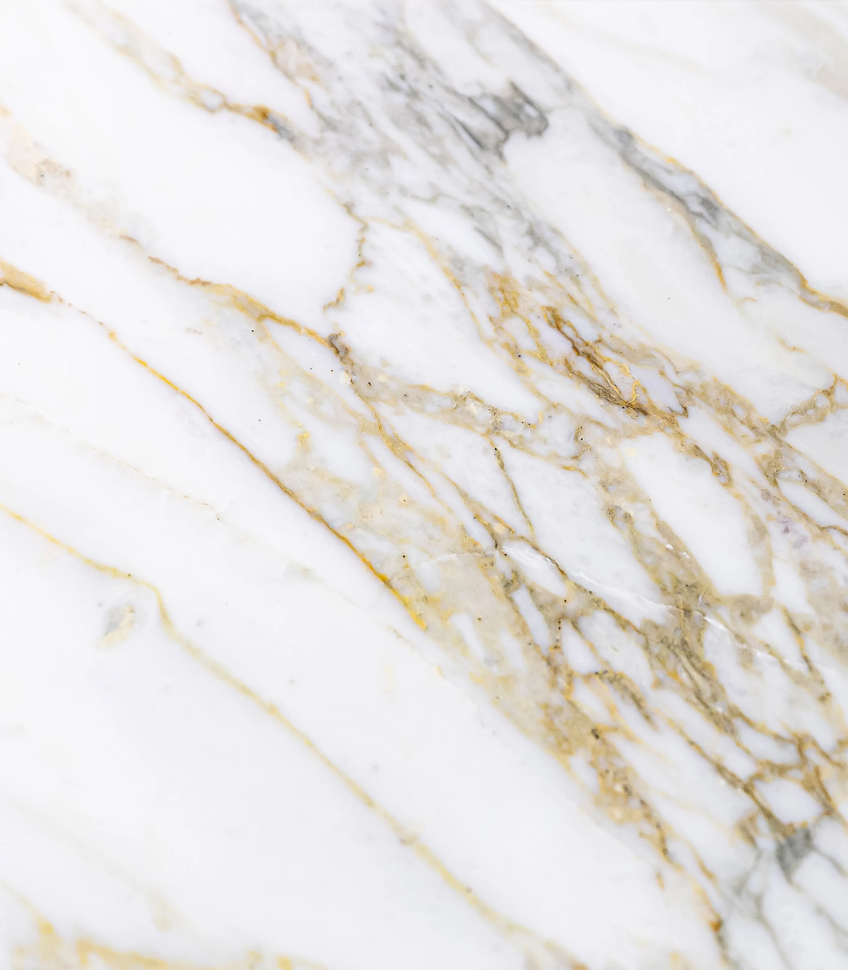 Calacatta Gold